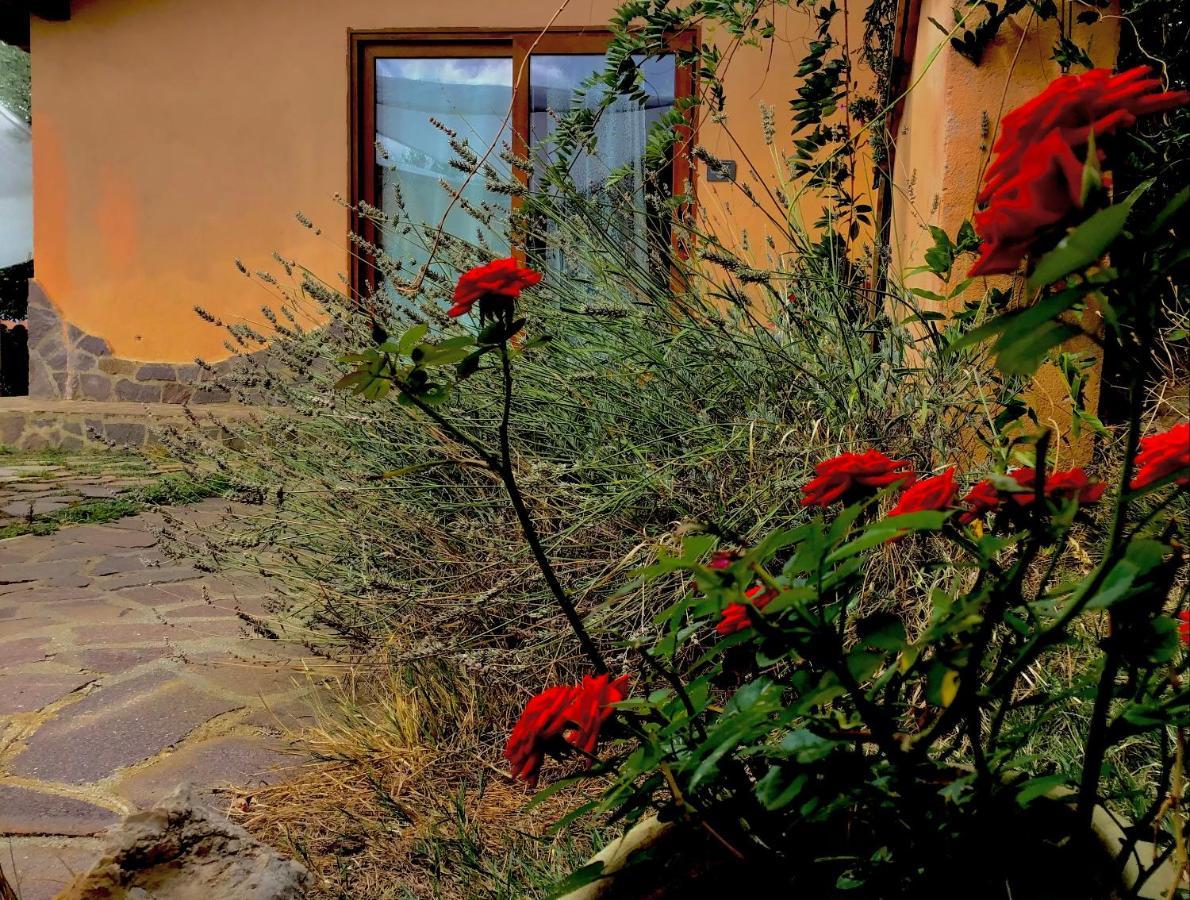 B&B A Casa Di Silvia Rocca Massima Extérieur photo